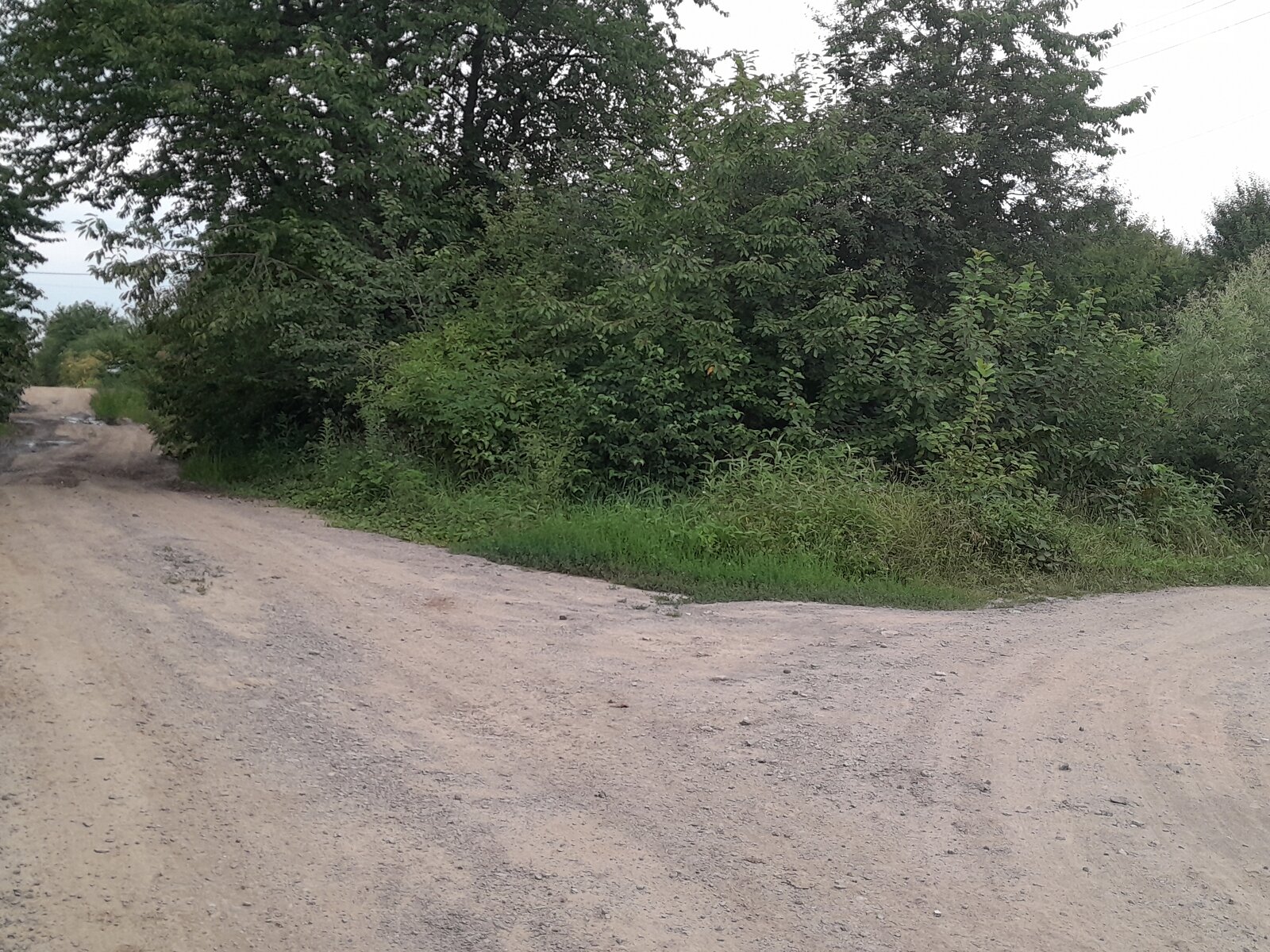 Земля під житлову забудову в Ужгороді, площа 6 соток фото 1 Земля під житлову забудову в Ужгороді, площа 6 соток фото 1