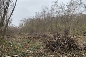 Земля под жилую застройку в Ужгороде, район Шахта, площадь 12 соток фото 2