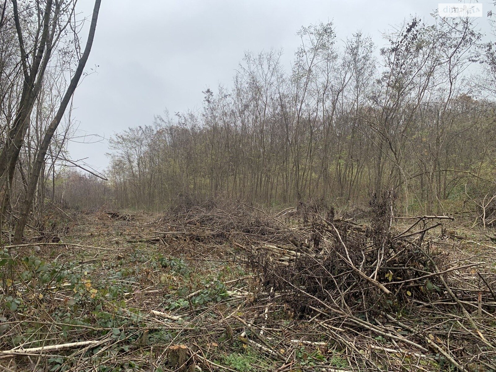 Земля под жилую застройку в Ужгороде, район Шахта, площадь 12 соток фото 1