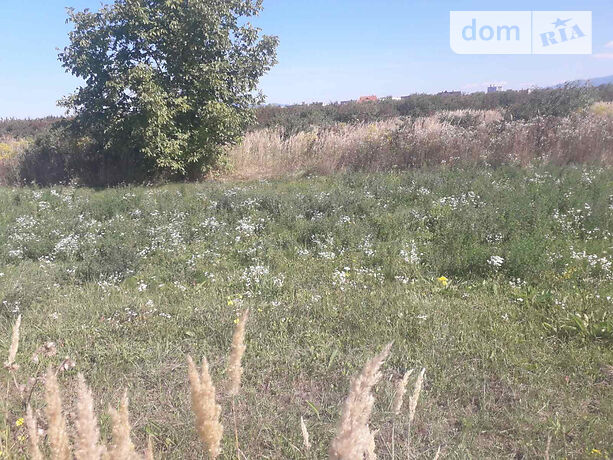 Земля под жилую застройку в селе Сторожница, площадь 9 соток фото 1 Земля под жилую застройку в селе Сторожница, площадь 9 соток фото 1