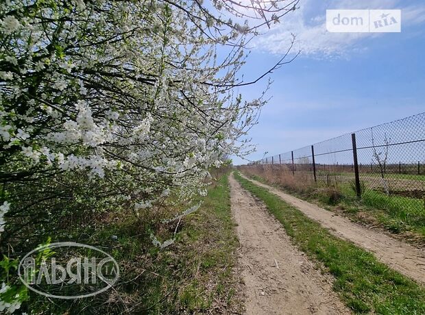 Земля под жилую застройку в селе Сторожница, площадь 33 сотки фото 1 Земля под жилую застройку в селе Сторожница, площадь 33 сотки фото 1