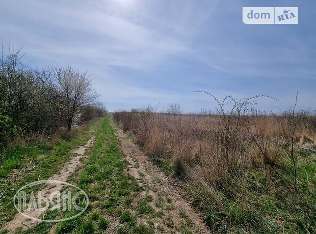 Земля под жилую застройку в селе Сторожница, площадь 33 сотки фото 1 Земля под жилую застройку в селе Сторожница, площадь 33 сотки фото 1