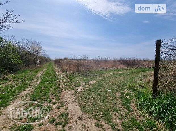 Земля под жилую застройку в селе Сторожница, площадь 33 сотки фото 1 Земля под жилую застройку в селе Сторожница, площадь 33 сотки фото 1