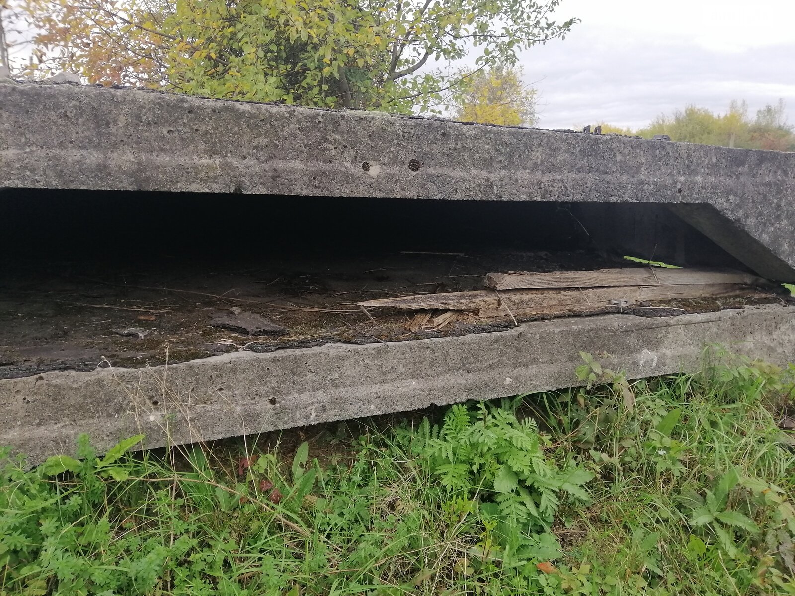 Земля под жилую застройку в Ужгороде, район Табла - 2, площадь 10 соток фото 1