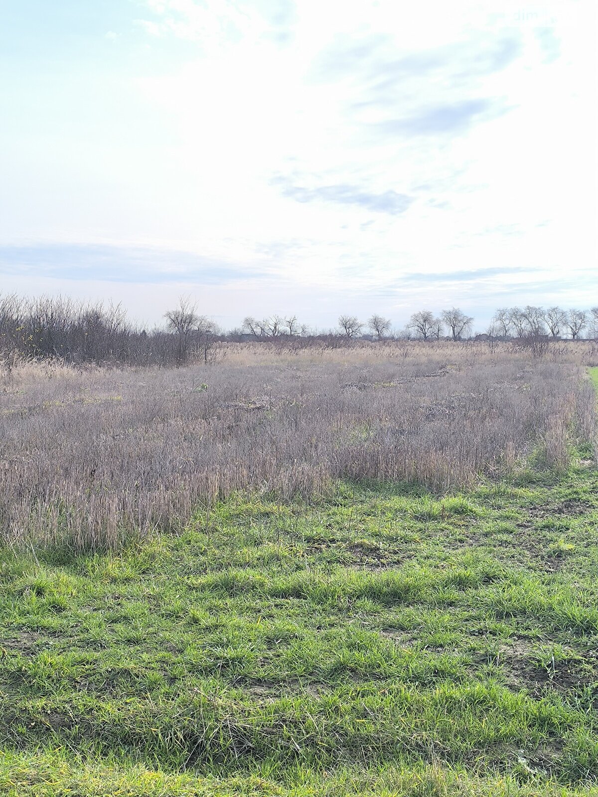 Земля под жилую застройку в Ужгороде, район Табла - 2, площадь 8 соток фото 1 Земля под жилую застройку в Ужгороде, район Табла - 2, площадь 8 соток фото 1