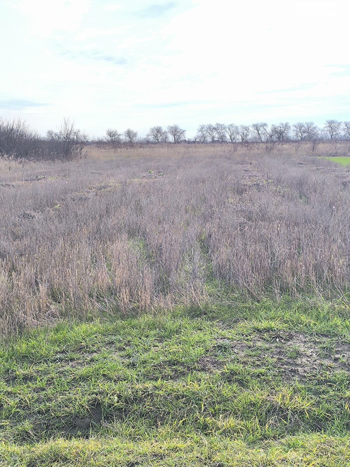 Земля под жилую застройку в Ужгороде, район Табла - 2, площадь 8 соток фото 1 Земля под жилую застройку в Ужгороде, район Табла - 2, площадь 8 соток фото 1