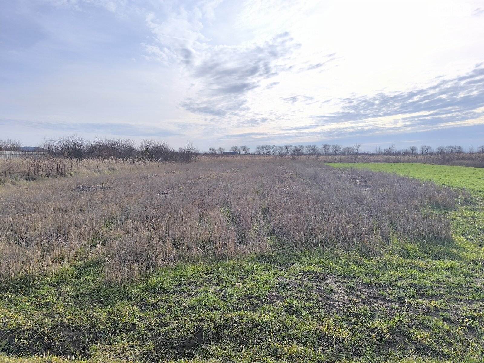 Земля под жилую застройку в Ужгороде, район Табла - 2, площадь 8 соток фото 1 Земля под жилую застройку в Ужгороде, район Табла - 2, площадь 8 соток фото 1