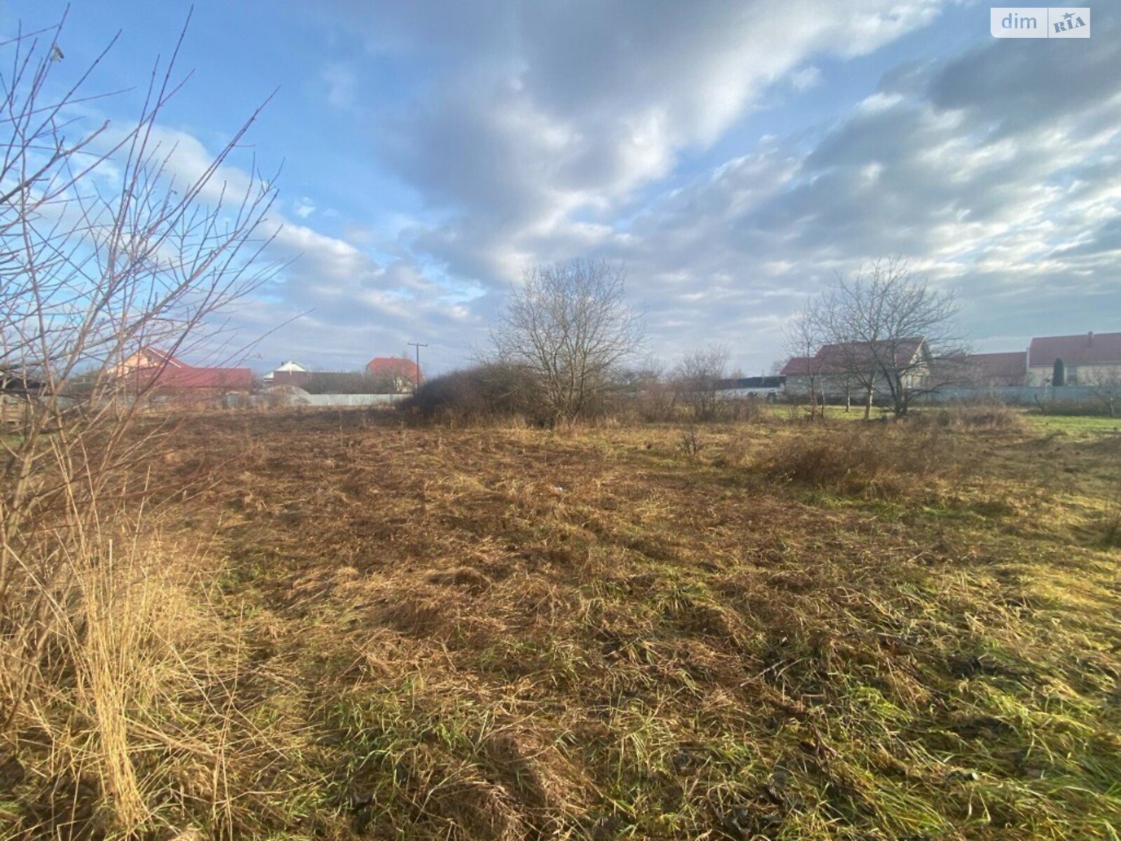 Земельный участок под жилую застройку в Тарновцах, площадь 23 сотки фото 1