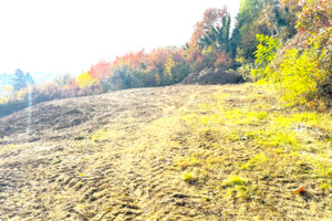 Земля під житлову забудову в Ужгороді, район Центр, площа 13 соток фото 1