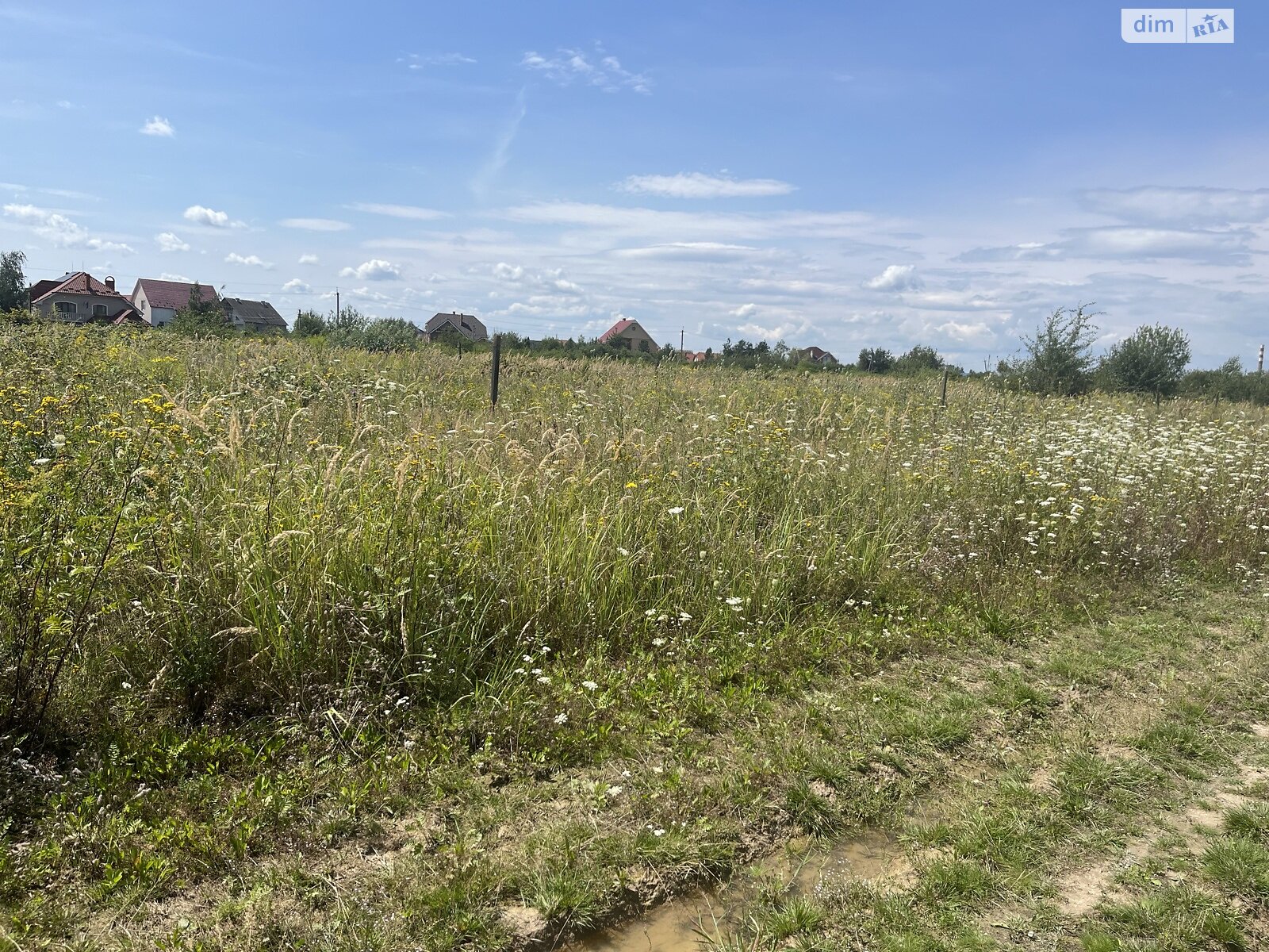 Земля под жилую застройку в Ужгороде, район Восточный, площадь 36 соток фото 1