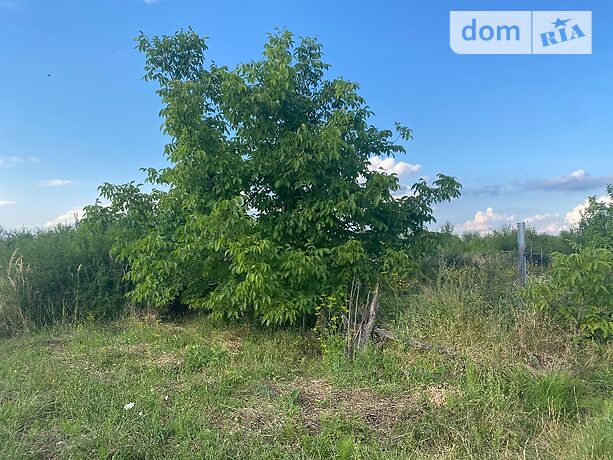 Земля под жилую застройку в Ужгороде, район Восточный, площадь 11 соток фото 1 Земля под жилую застройку в Ужгороде, район Восточный, площадь 11 соток фото 1
