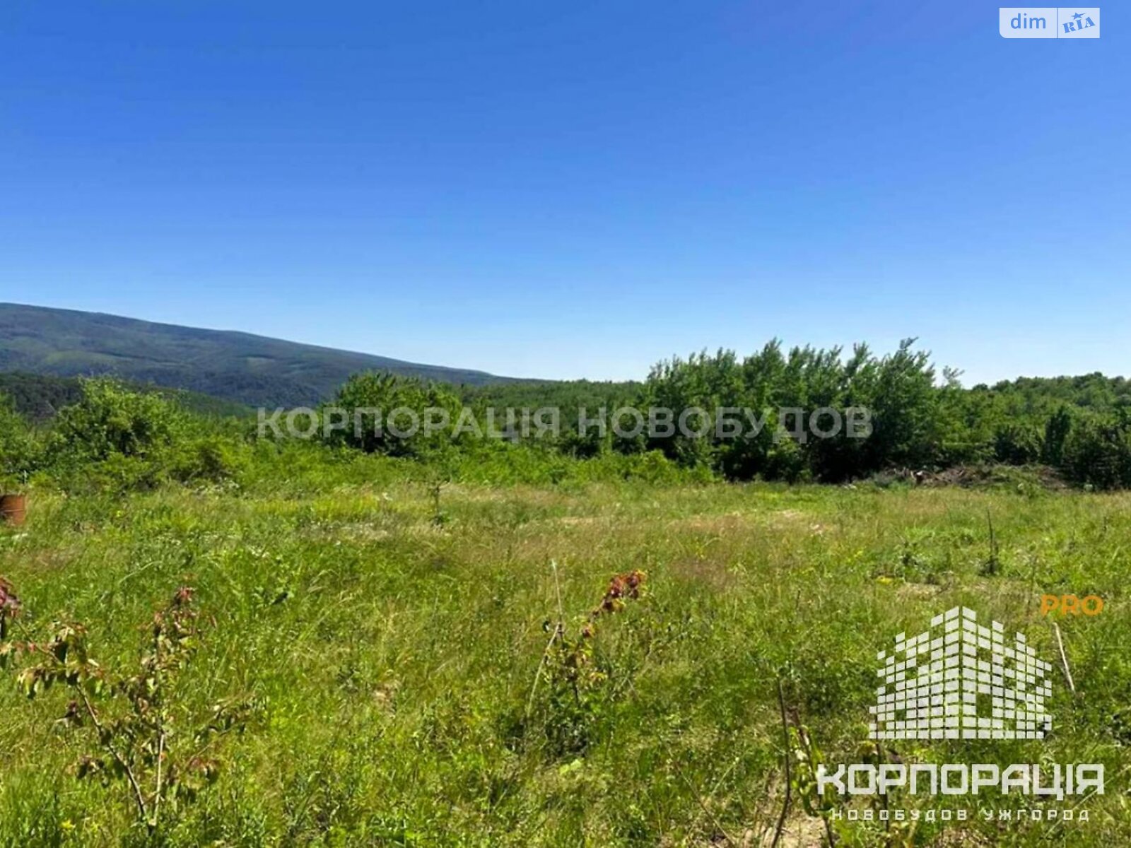 Земельна ділянка під житлову забудову в Ужгороді, площа 19 соток фото 1 Земельна ділянка під житлову забудову в Ужгороді, площа 19 соток фото 1