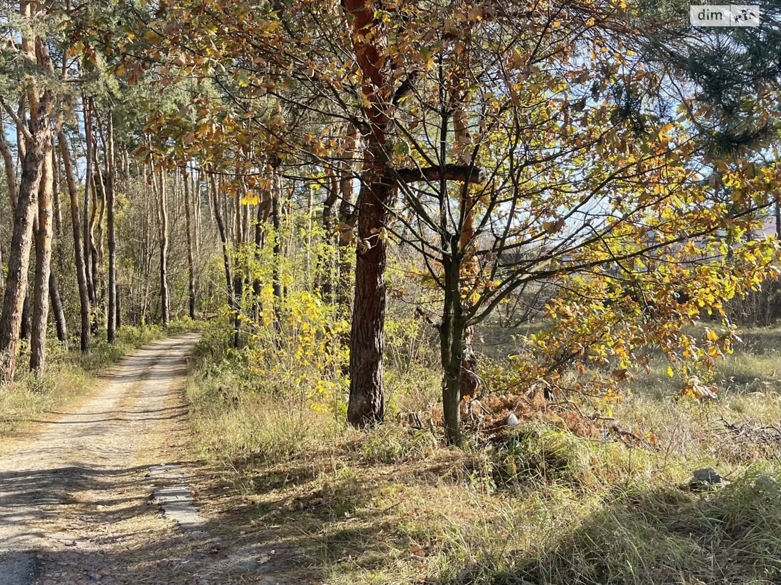 Земельный участок под жилую застройку в Украинке, площадь 100 соток фото 1