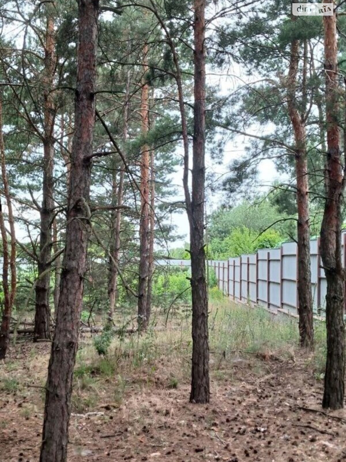 Земельный участок под жилую застройку в Украинке, площадь 24 сотки фото 1