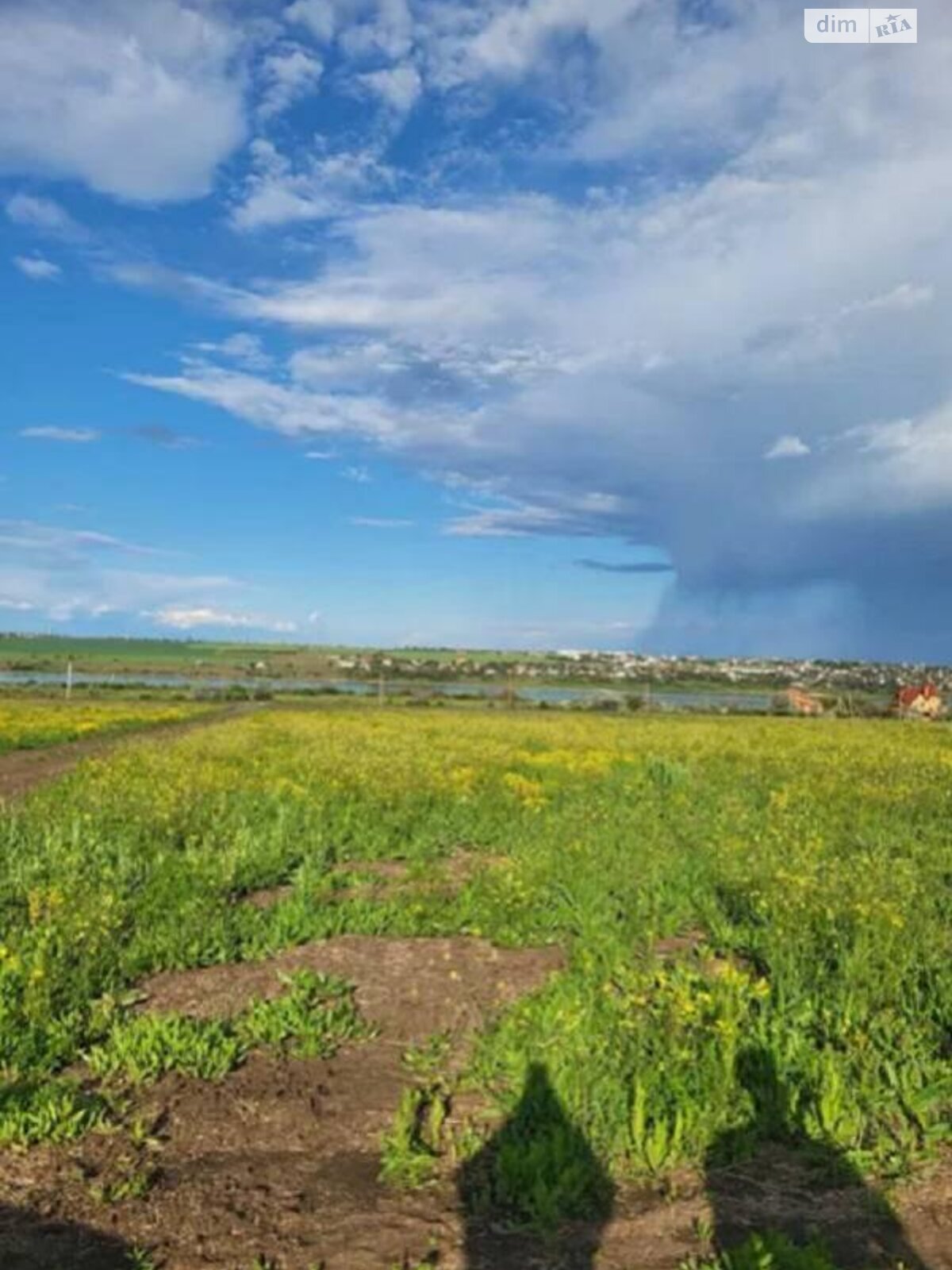Земельна ділянка під житлову забудову в Вапнярці, площа 5 соток фото 1 Земельна ділянка під житлову забудову в Вапнярці, площа 5 соток фото 1