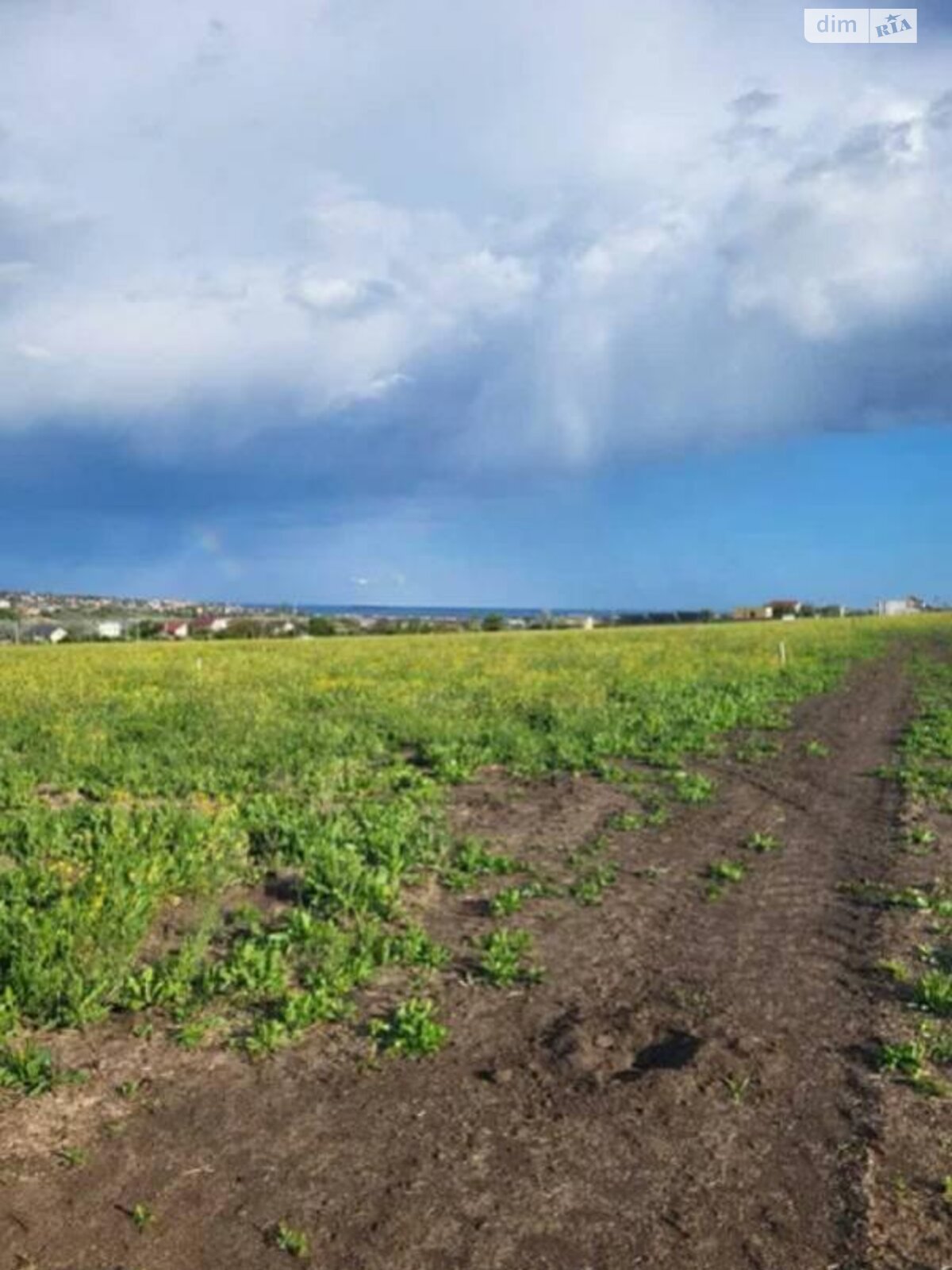Земельна ділянка під житлову забудову в Вапнярці, площа 5 соток фото 1 Земельна ділянка під житлову забудову в Вапнярці, площа 5 соток фото 1