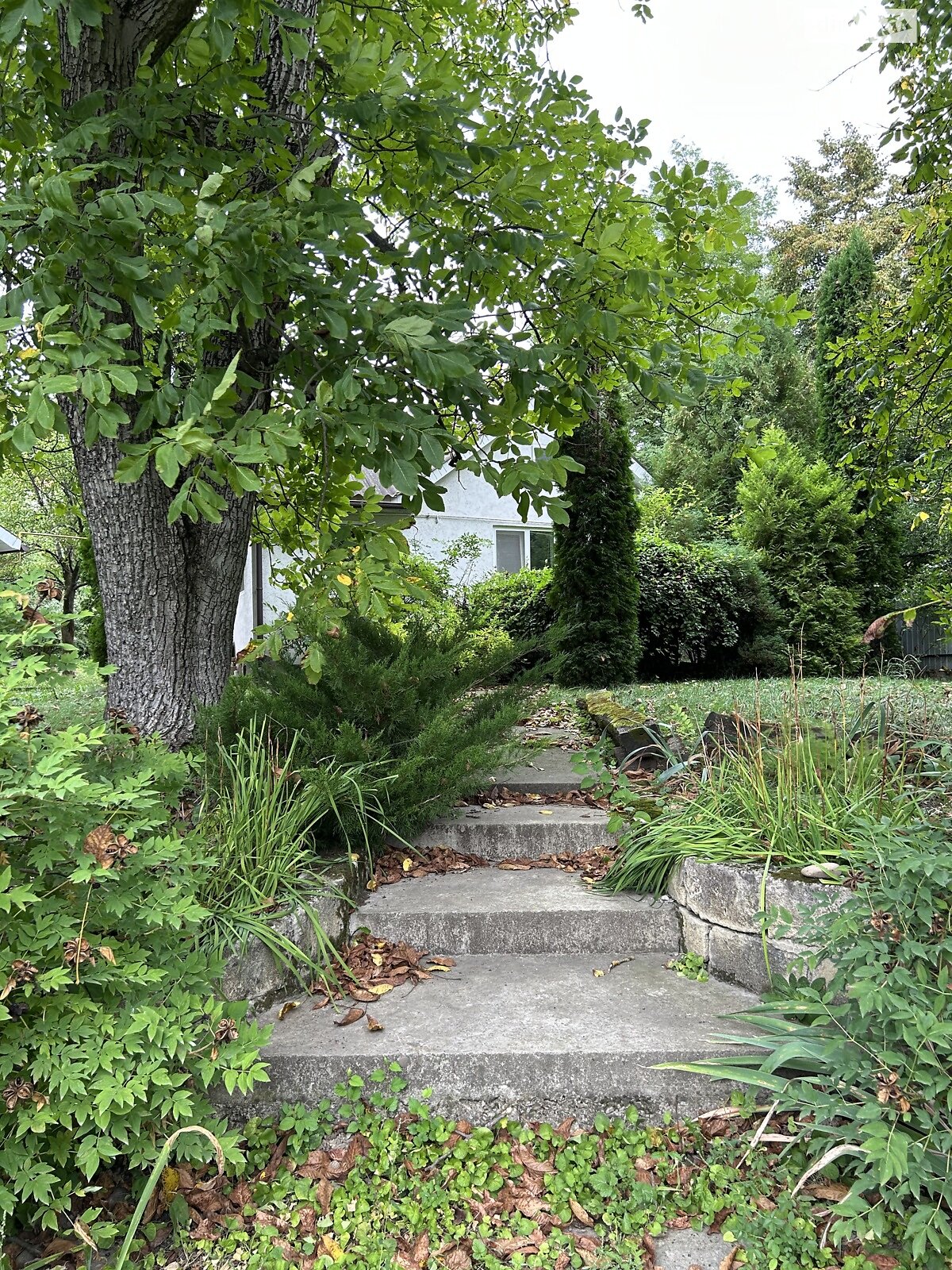 Земельна ділянка під житлову забудову в Василеві, площа 0.121 Га фото 1 Земельна ділянка під житлову забудову в Василеві, площа 0.121 Га фото 1