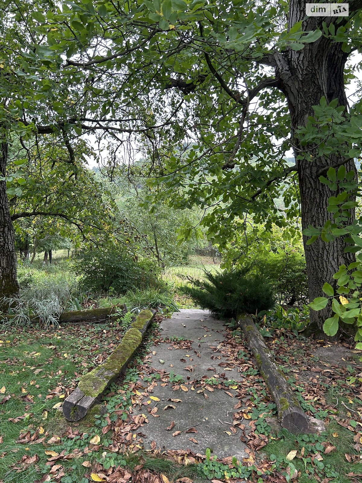 Земельна ділянка під житлову забудову в Василеві, площа 0.121 Га фото 1 Земельна ділянка під житлову забудову в Василеві, площа 0.121 Га фото 1