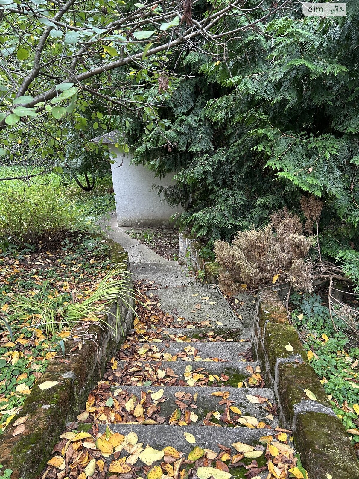 Земельна ділянка під житлову забудову в Василеві, площа 0.121 Га фото 1 Земельна ділянка під житлову забудову в Василеві, площа 0.121 Га фото 1