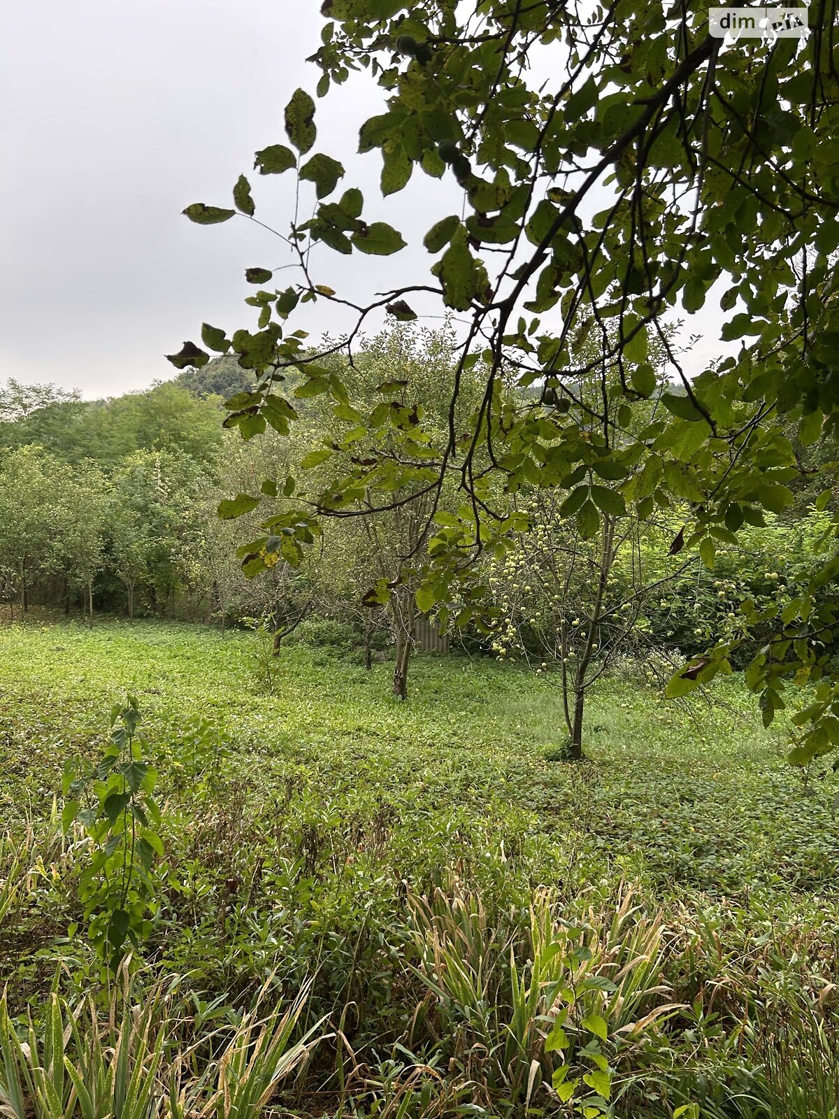 Земельна ділянка під житлову забудову в Василеві, площа 0.121 Га фото 1 Земельна ділянка під житлову забудову в Василеві, площа 0.121 Га фото 1