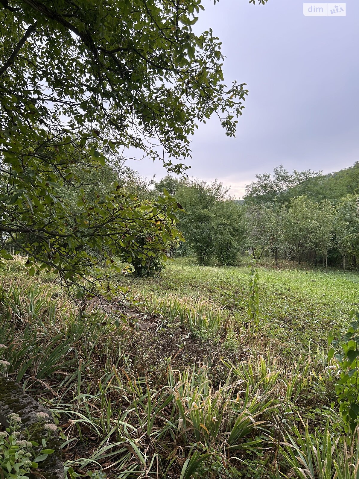 Земельна ділянка під житлову забудову в Василеві, площа 0.121 Га фото 1 Земельна ділянка під житлову забудову в Василеві, площа 0.121 Га фото 1