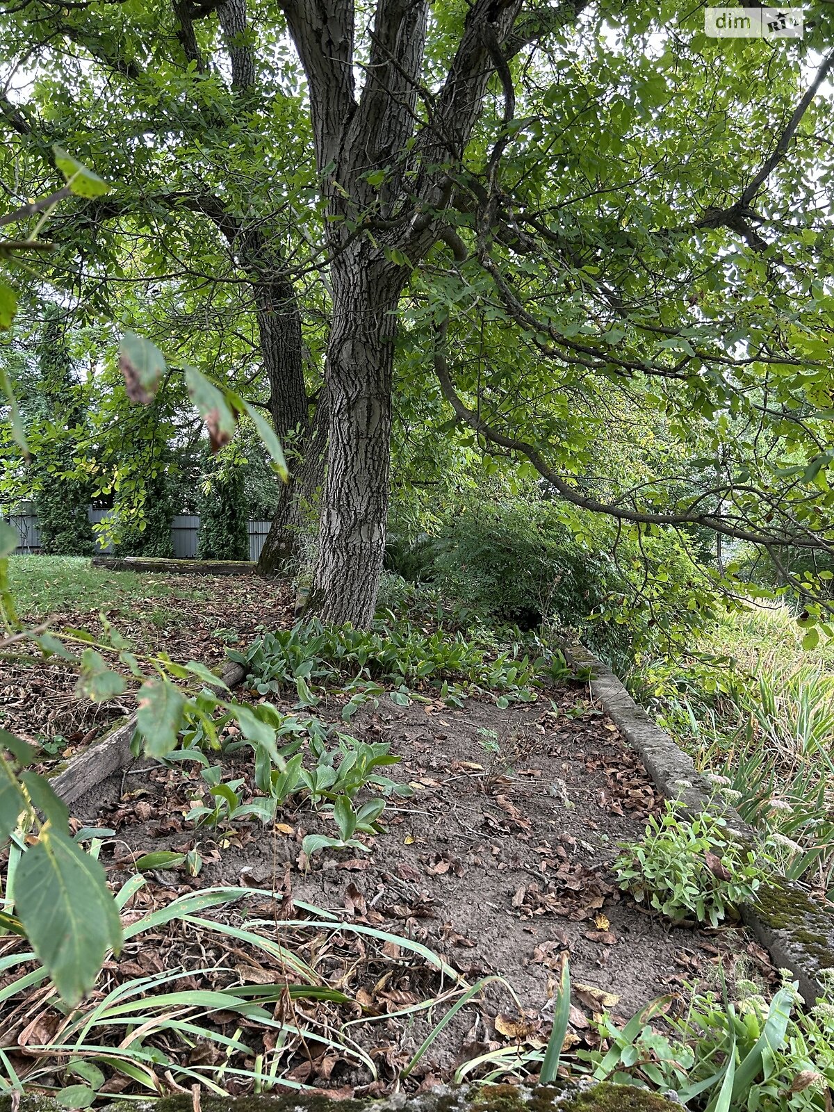 Земельна ділянка під житлову забудову в Василеві, площа 0.121 Га фото 1 Земельна ділянка під житлову забудову в Василеві, площа 0.121 Га фото 1