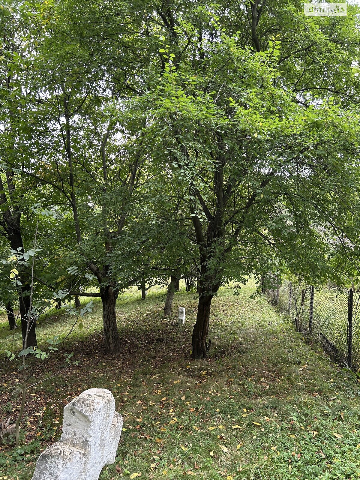 Земельна ділянка під житлову забудову в Василеві, площа 0.121 Га фото 1 Земельна ділянка під житлову забудову в Василеві, площа 0.121 Га фото 1