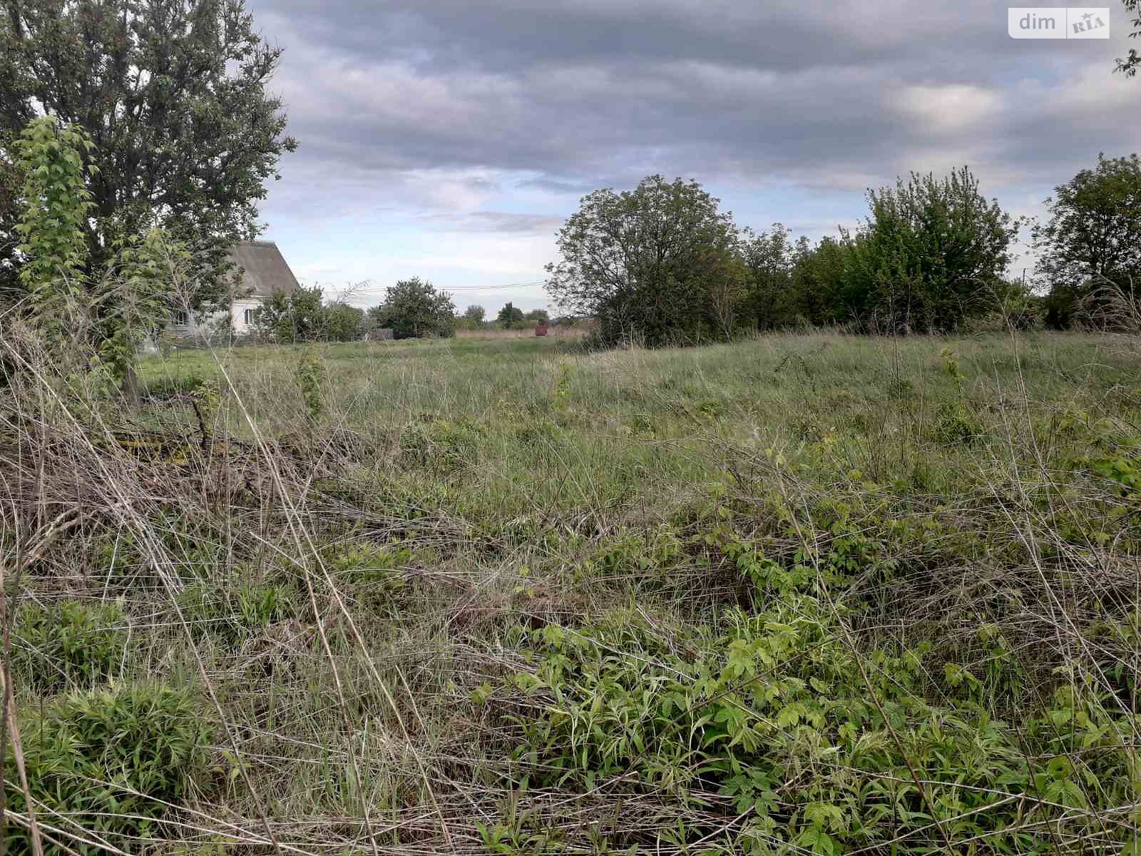 Земля під житлову забудову в Василькові, район Борисів, площа 15 соток фото 1 Земля під житлову забудову в Василькові, район Борисів, площа 15 соток фото 1