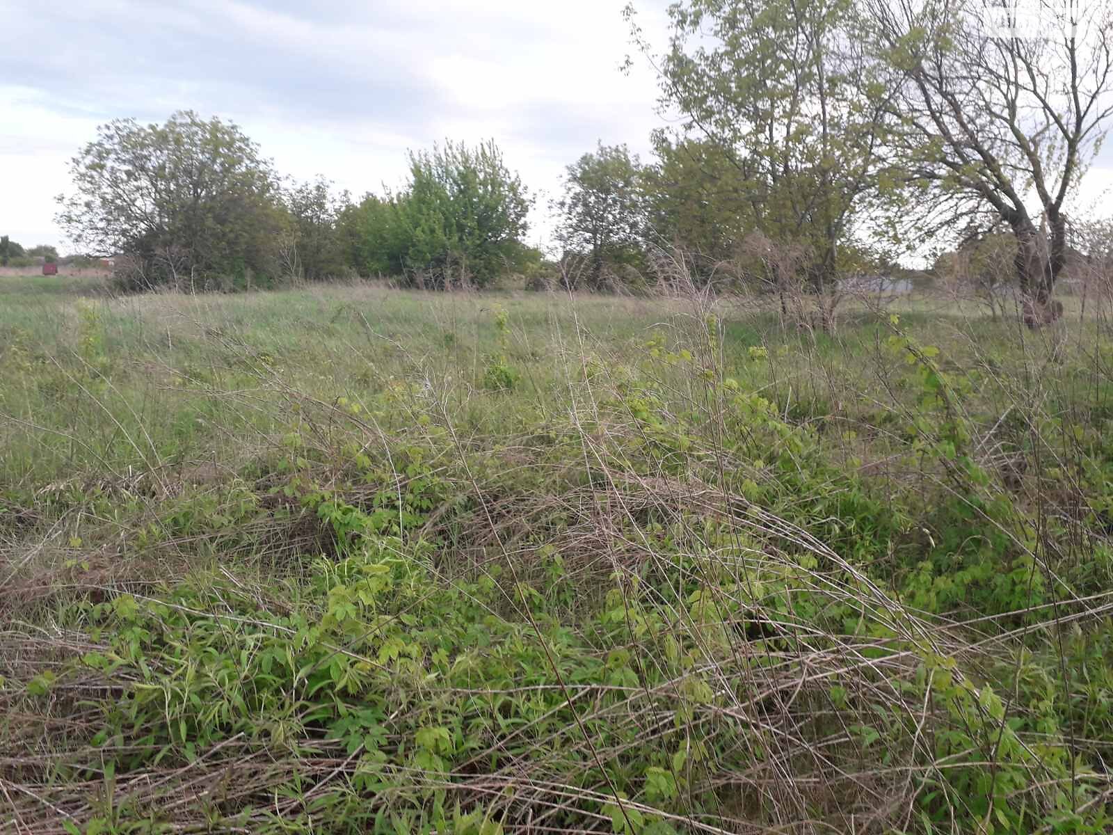 Земля під житлову забудову в Василькові, район Борисів, площа 15 соток фото 1 Земля під житлову забудову в Василькові, район Борисів, площа 15 соток фото 1