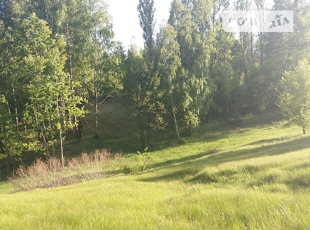 Земля под жилую застройку в селе Деревянки, площадь 650 соток фото 1 Земля под жилую застройку в селе Деревянки, площадь 650 соток фото 1
