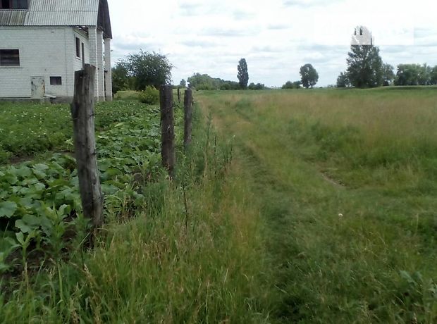 Продажа участка под жилую застройку, Киевская, Васильков, c. Устимовка, Нова Продажа участка под жилую застройку, Киевская, Васильков, c. Устимовка, Нова