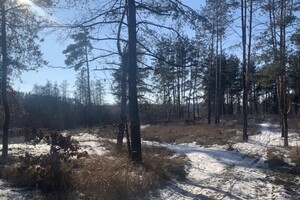 Земля под жилую застройку в Василькове, район Васильков, площадь 10 соток фото 2