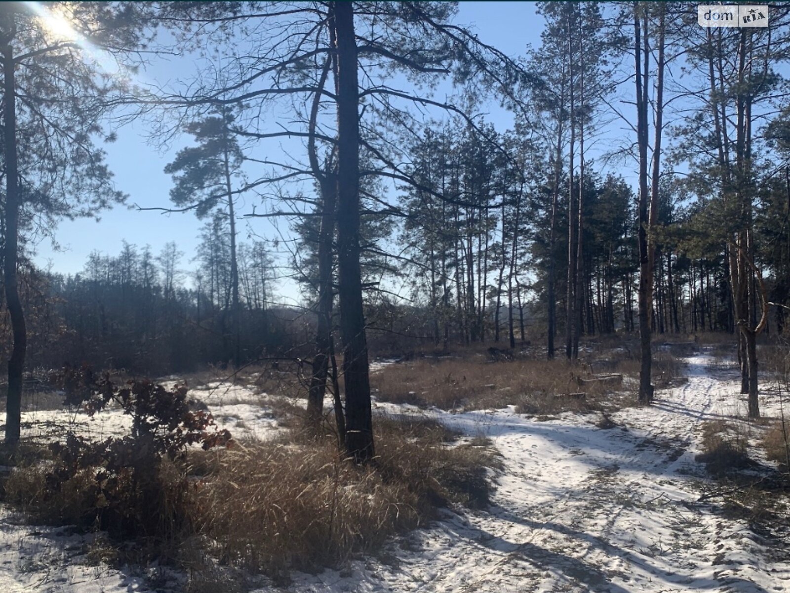 Земля под жилую застройку в Василькове, район Васильков, площадь 10 соток фото 1