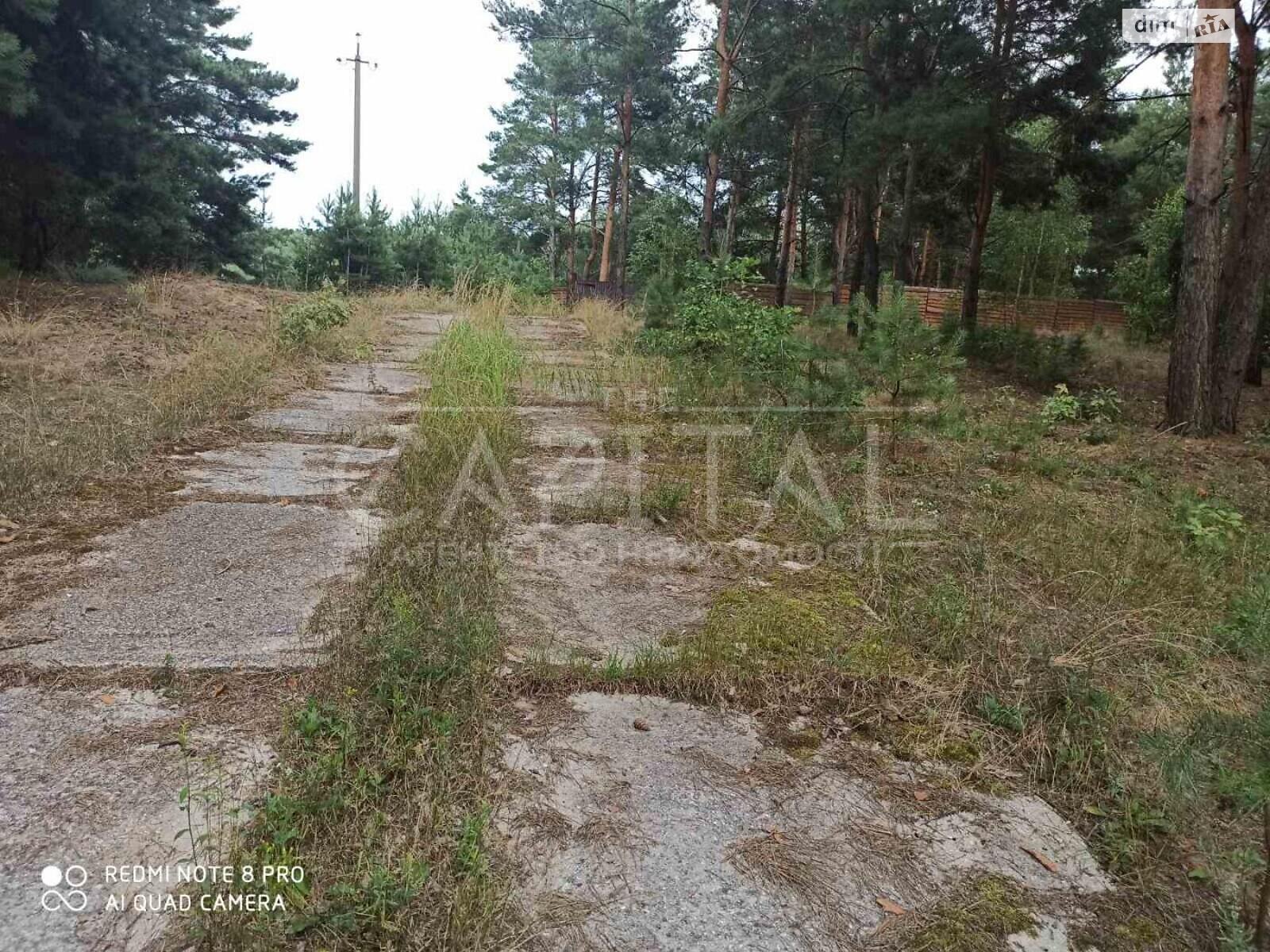 Земля під житлову забудову в Василькові, район Васильків, площа 100 соток фото 1