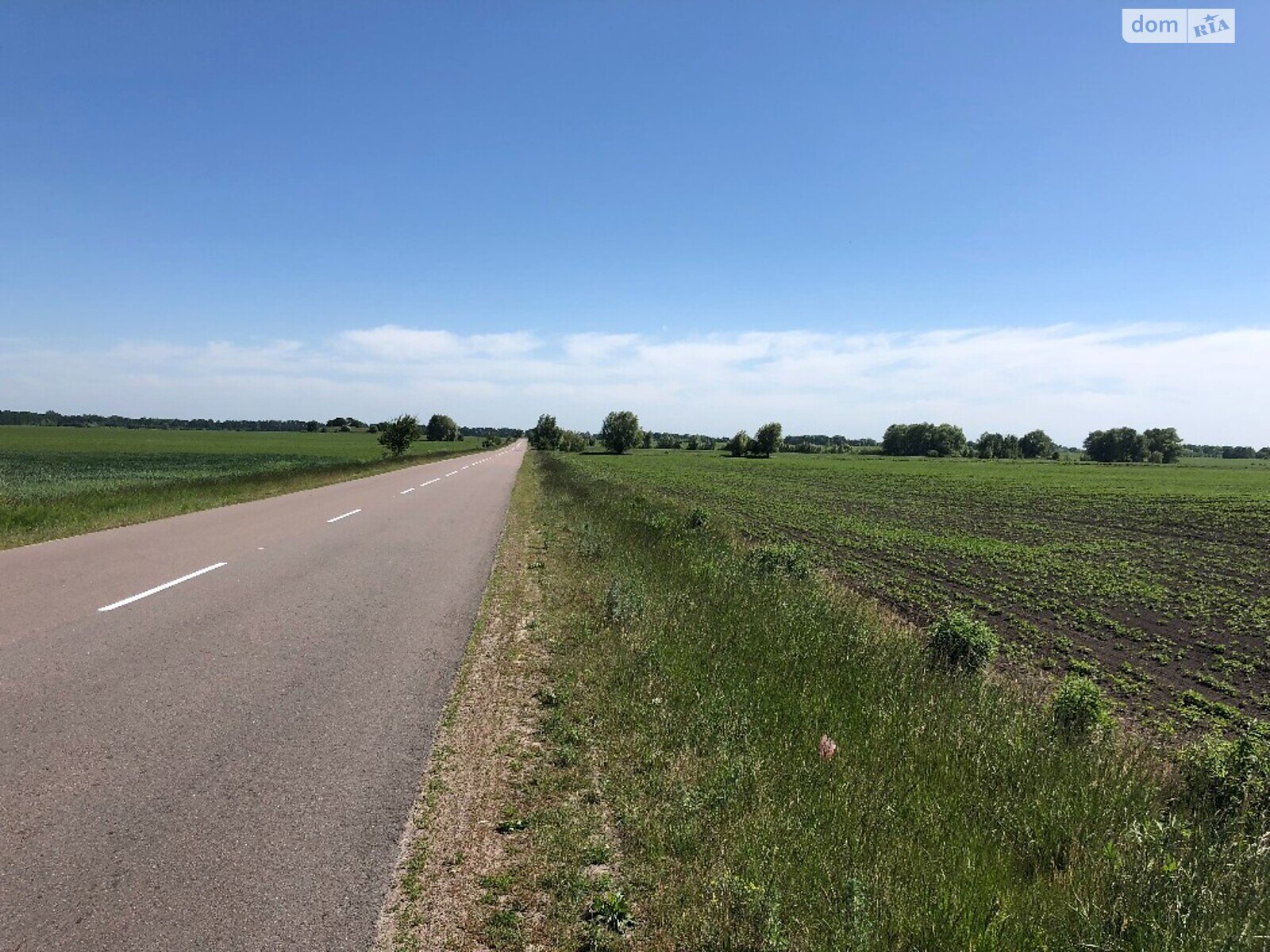 Земельна ділянка під житлову забудову в Великій Бугаївці, площа 54 Га фото 1