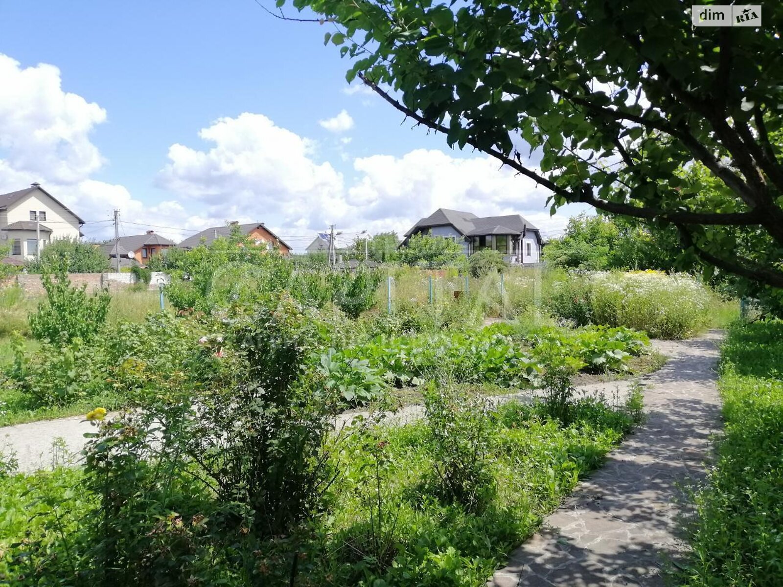 Земельна ділянка під житлову забудову в Василькові, площа 32 сотки фото 1