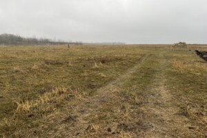 Земельный участок под жилую застройку в Великой Балке, площадь 8 соток фото 2