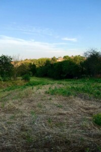 Земельный участок под жилую застройку в Великой Балке, площадь 25 соток фото 2