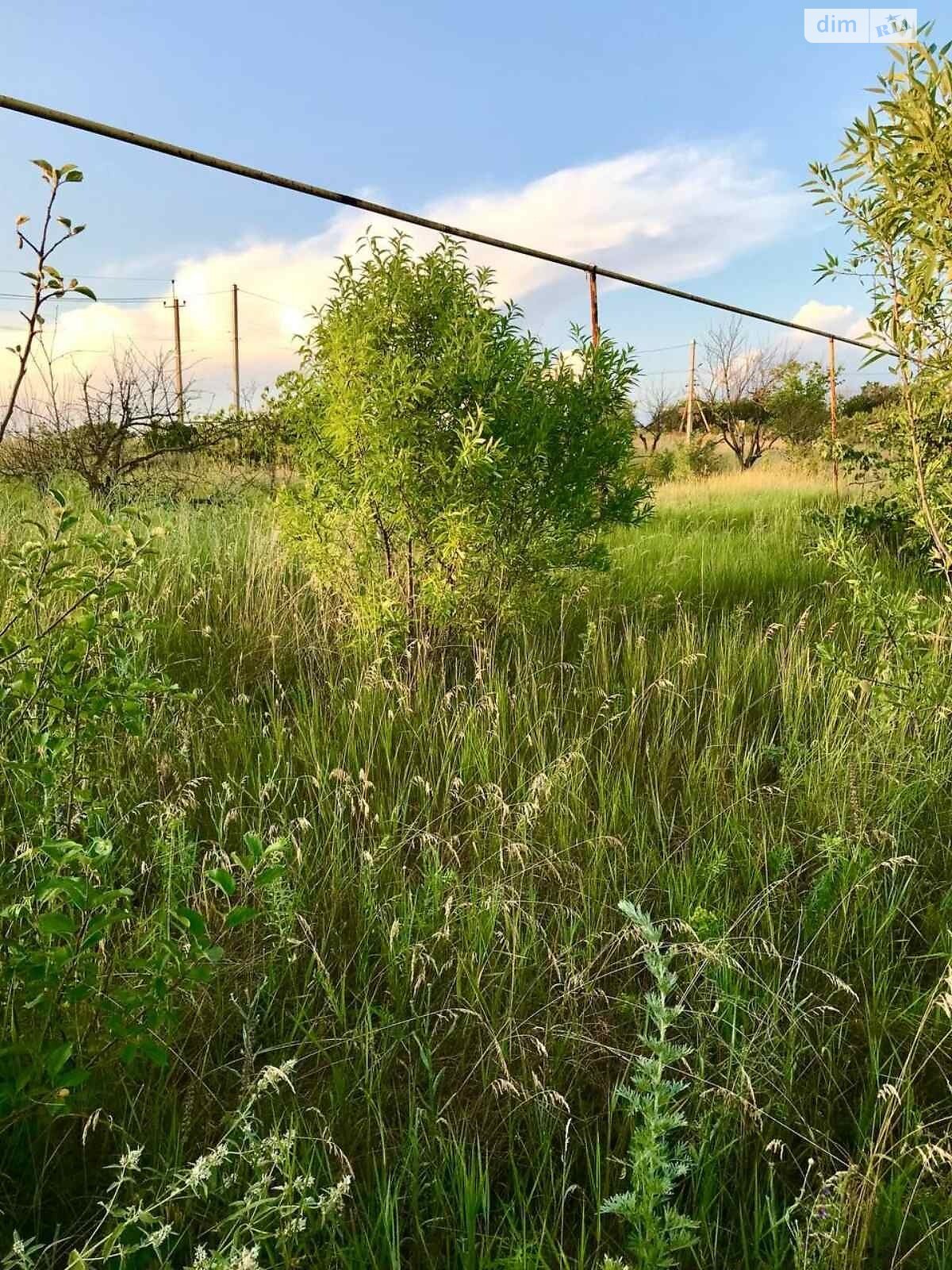 Земельный участок под жилую застройку в Великой Балке, площадь 25 соток фото 1