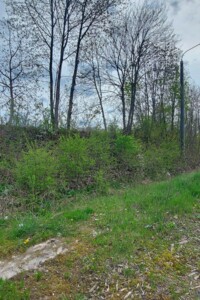 Земельна ділянка під житлову забудову в Великій Березовиці, площа 0.1 Га фото 2
