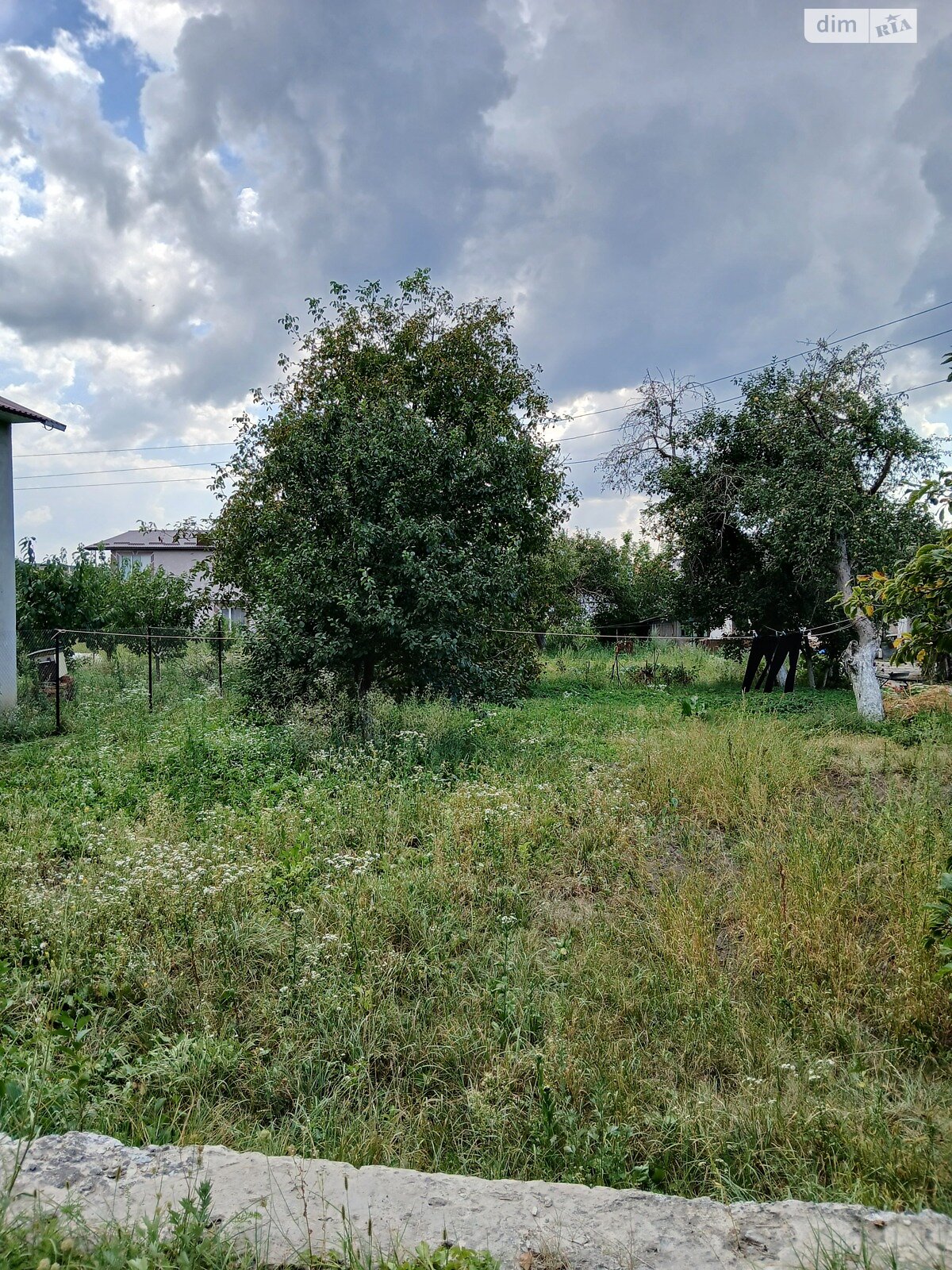 Земельна ділянка під житлову забудову в Великій Березовиці, площа 6.46 сотки фото 1