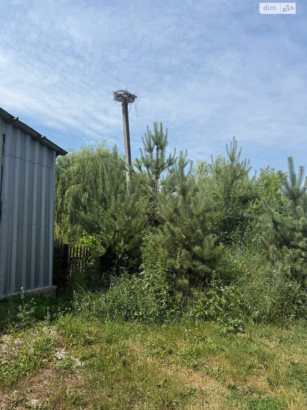 Земля під житлову забудову в Великій Березовиці, район Кемпінг, площа 0.083 Га фото 1