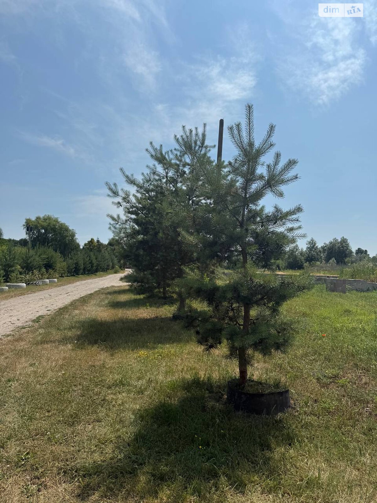 Земля під житлову забудову в Великій Березовиці, район Кемпінг, площа 0.083 Га фото 1