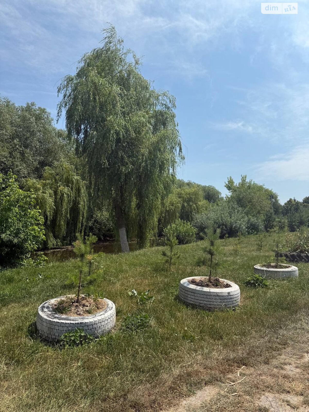 Земля під житлову забудову в Великій Березовиці, район Кемпінг, площа 0.083 Га фото 1