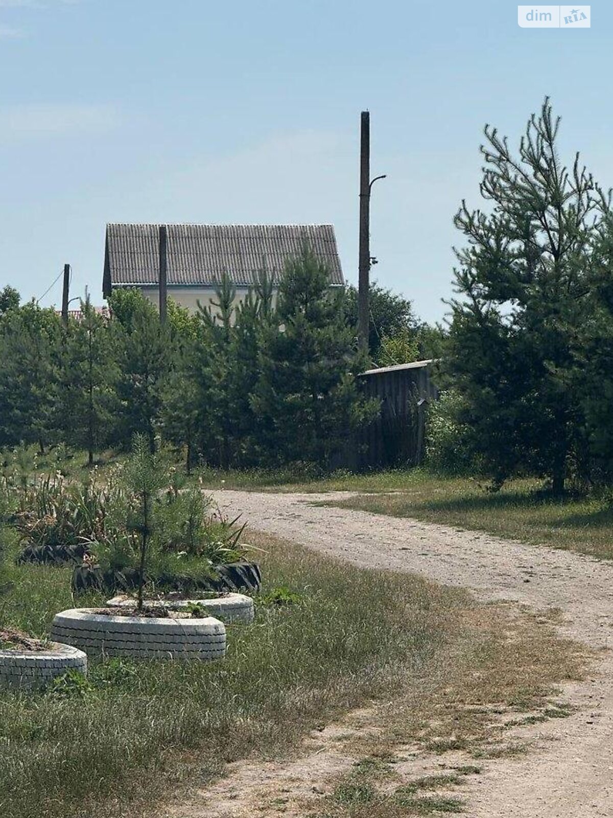 Земельна ділянка під житлову забудову в Великій Березовиці, площа NaN соток фото 1 Земельна ділянка під житлову забудову в Великій Березовиці, площа NaN соток фото 1