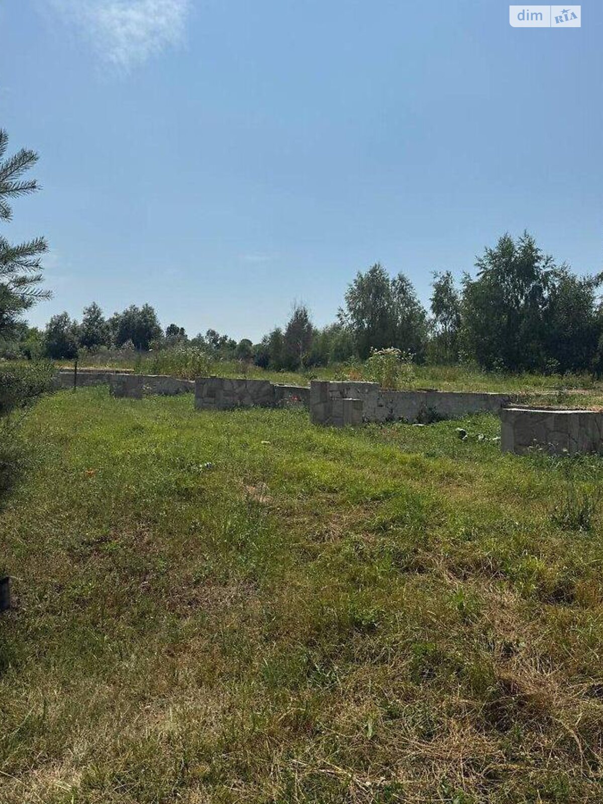 Земельна ділянка під житлову забудову в Великій Березовиці, площа NaN соток фото 1 Земельна ділянка під житлову забудову в Великій Березовиці, площа NaN соток фото 1