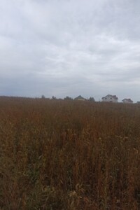 Земельна ділянка під житлову забудову в Великій Березовиці, площа 14.9 сотки фото 2