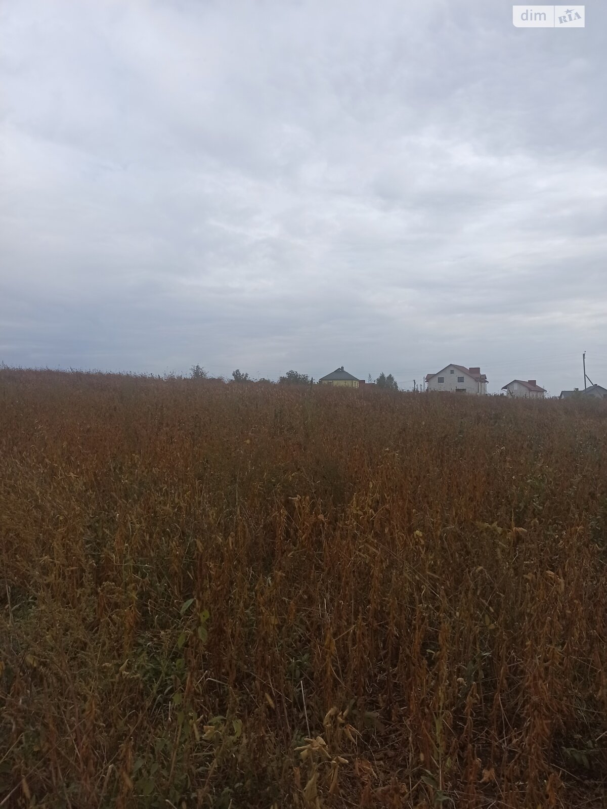 Земельна ділянка під житлову забудову в Великій Березовиці, площа 14.9 сотки фото 1
