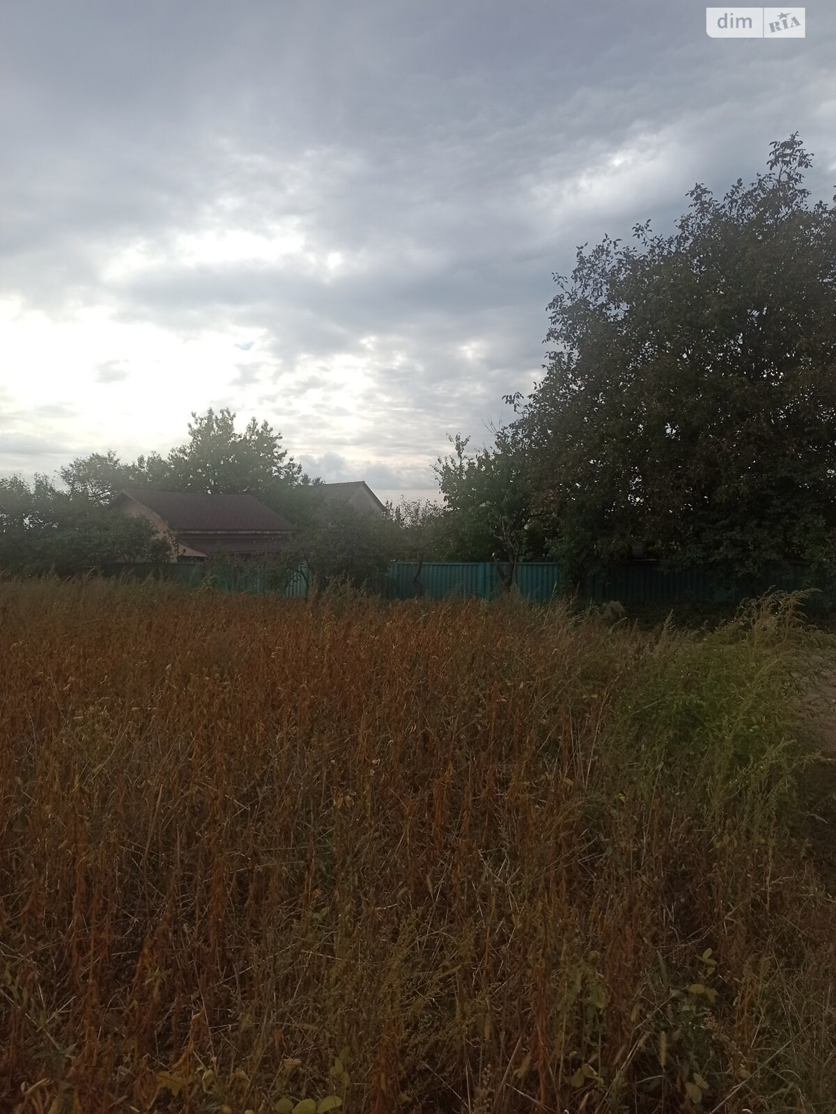 Земельна ділянка під житлову забудову в Великій Березовиці, площа 14.9 сотки фото 1