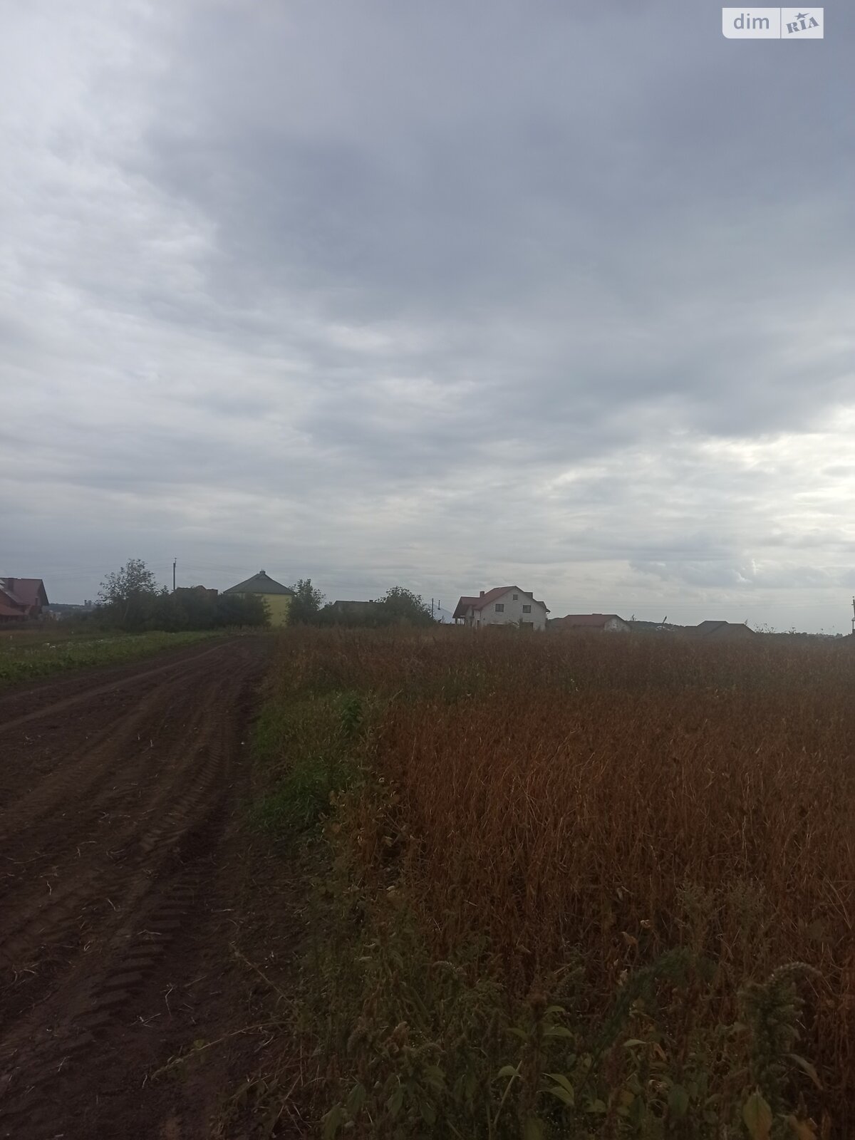 Земельна ділянка під житлову забудову в Великій Березовиці, площа 14.9 сотки фото 1